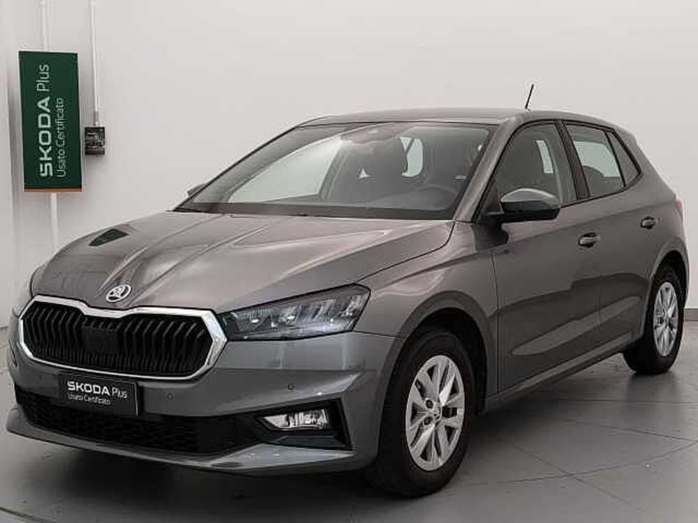 Skoda Fabia usata a Varese