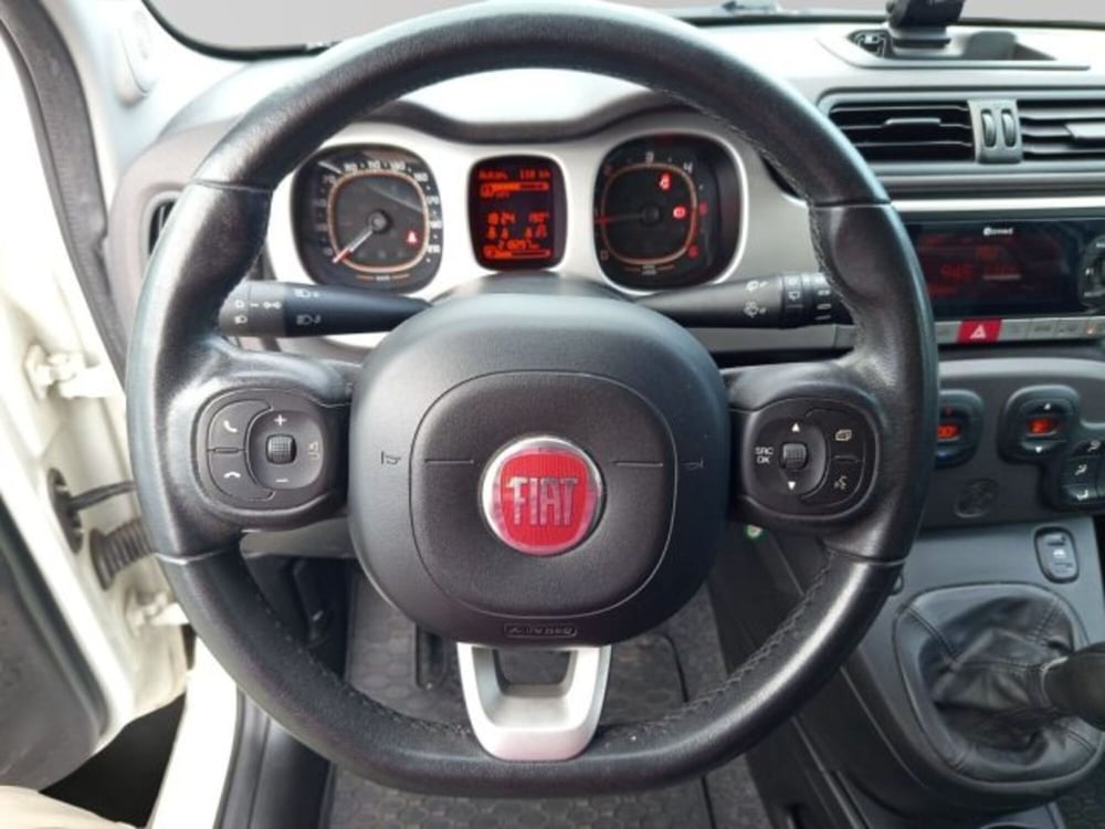 Fiat Panda Cross usata a Frosinone (15)