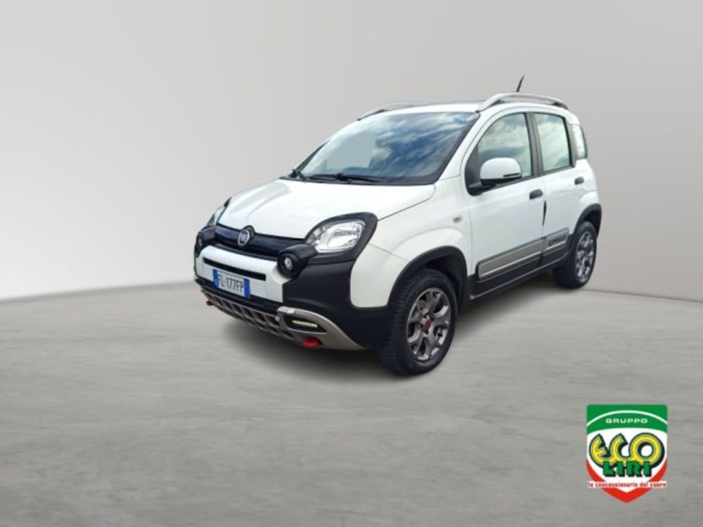 Fiat Panda Cross usata a Frosinone (2)