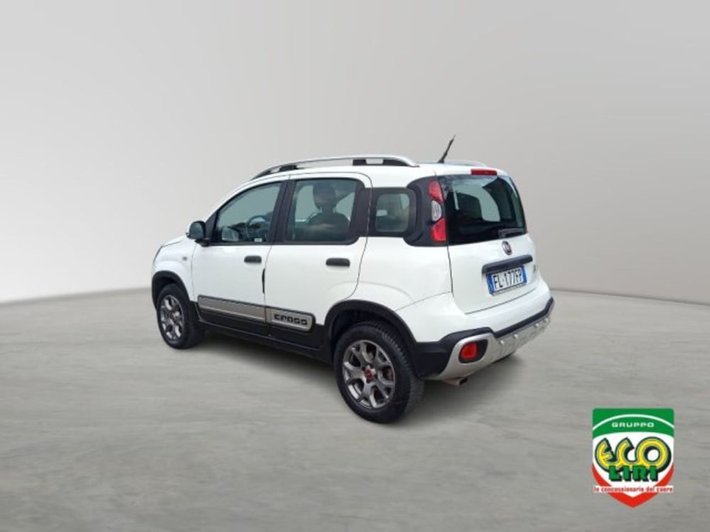 Fiat Panda Cross usata a Frosinone (4)
