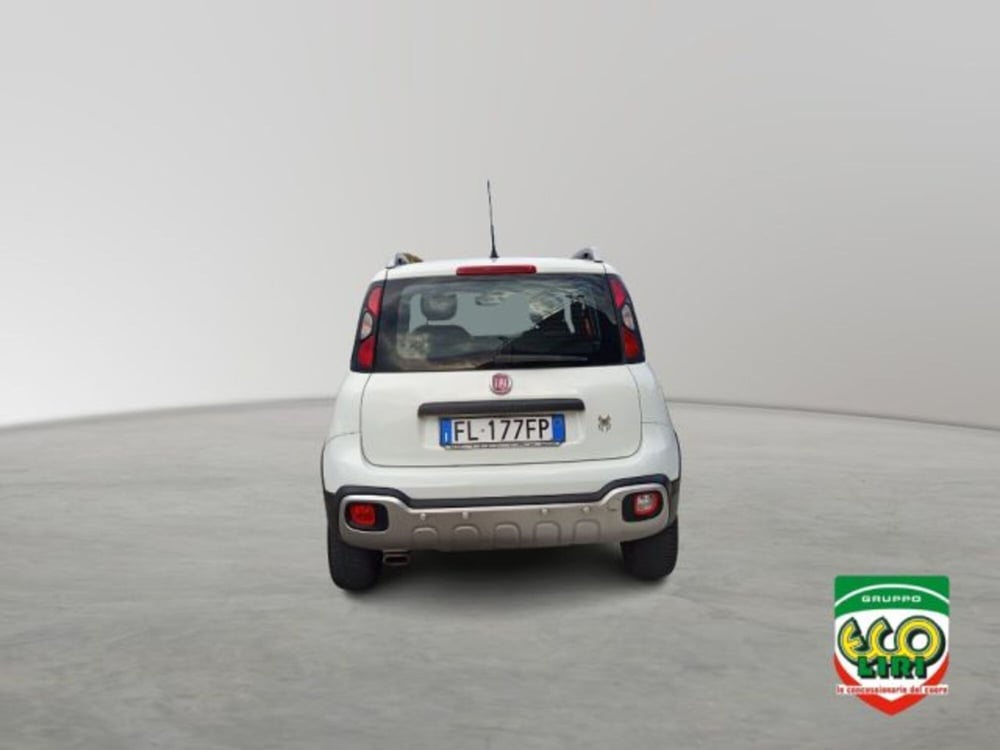 Fiat Panda Cross usata a Frosinone (5)