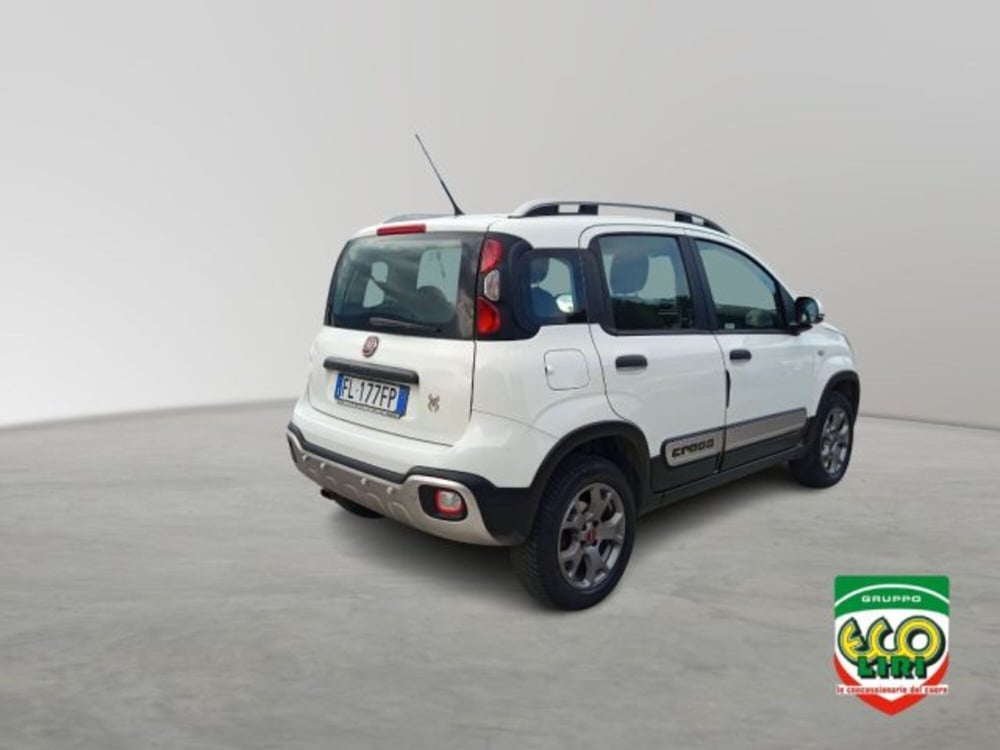 Fiat Panda Cross usata a Frosinone (6)
