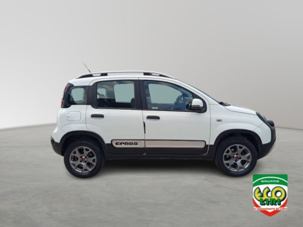 Fiat Panda Cross usata a Frosinone (7)