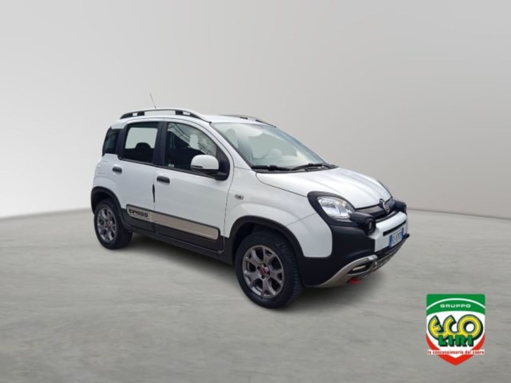 Fiat Panda Cross usata a Frosinone (8)