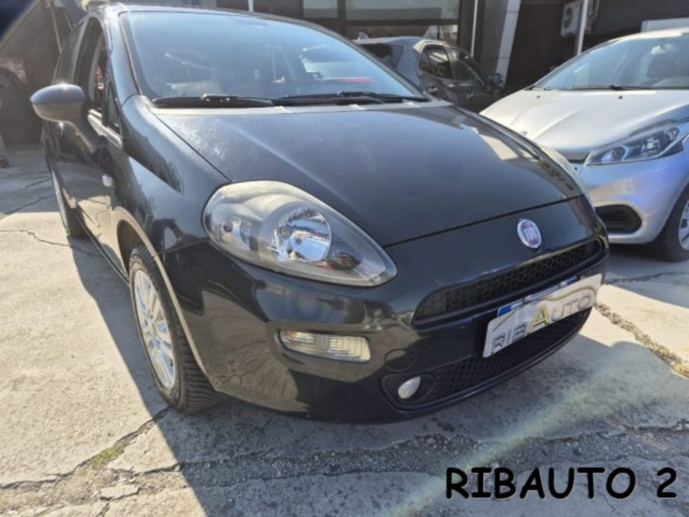 Fiat Punto usata a Cuneo (12)