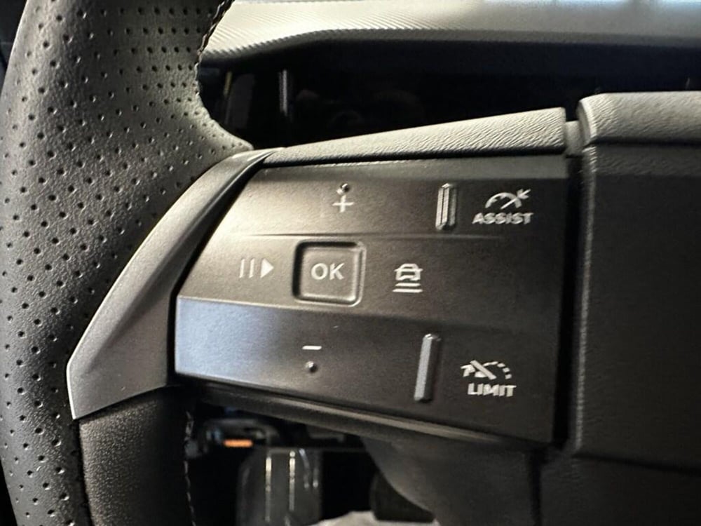 Opel Grandland nuova a Torino (13)