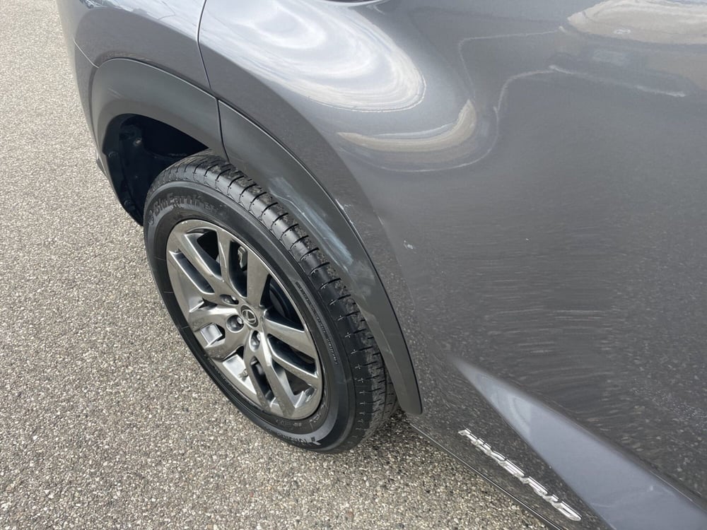 Lexus NX usata a Piacenza (10)