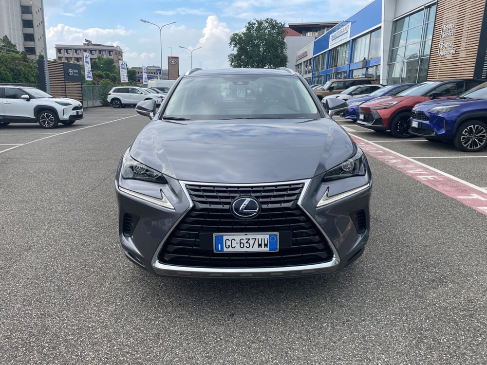 Lexus NX usata a Piacenza (2)