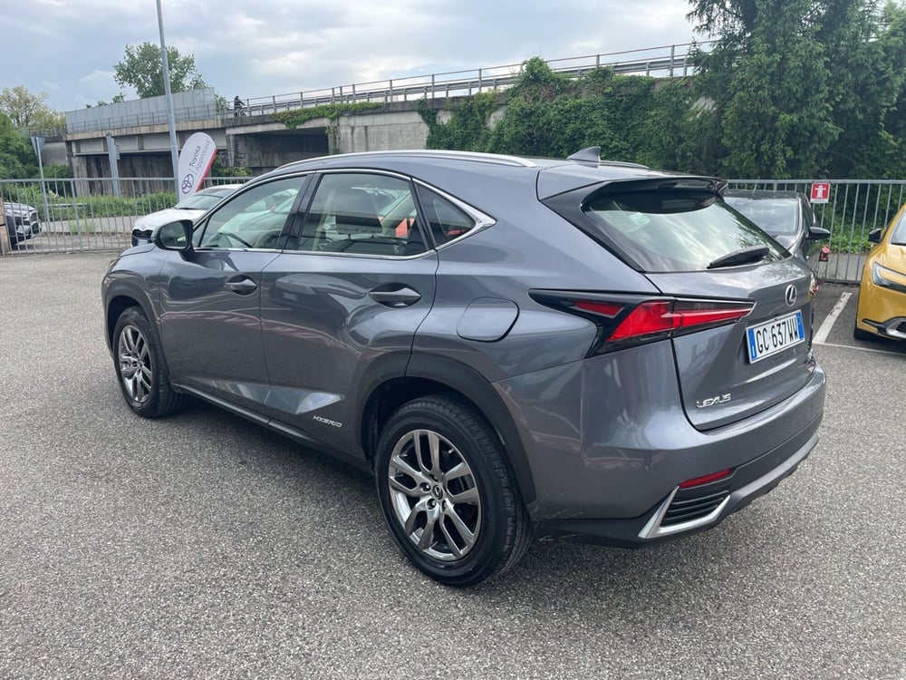 Lexus NX usata a Piacenza (4)