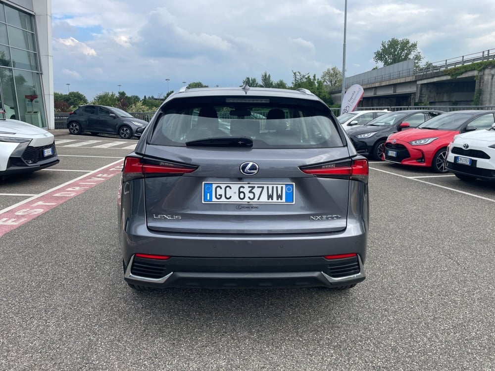 Lexus NX usata a Piacenza (5)