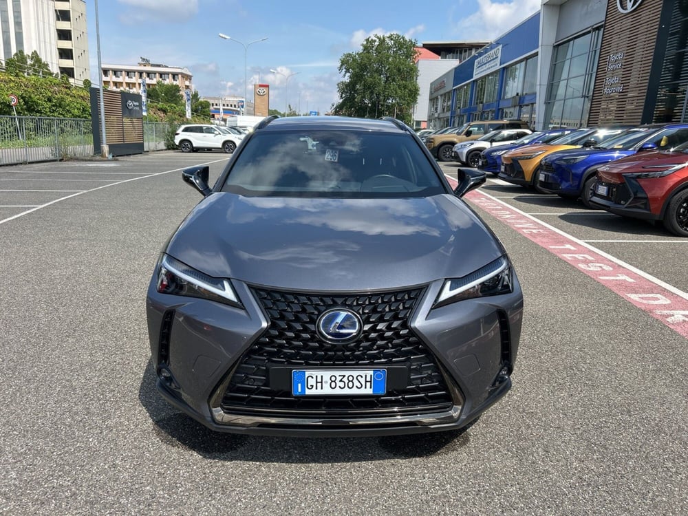 Lexus UX usata a Piacenza (2)