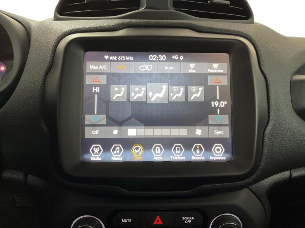 Jeep Renegade usata a Torino (13)