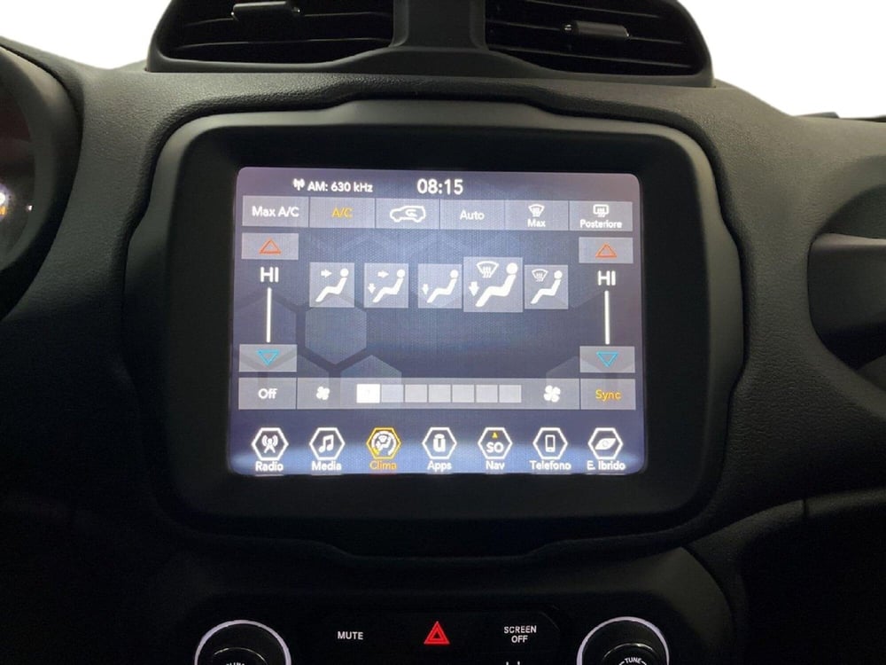 Jeep Renegade usata a Torino (12)