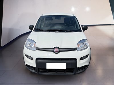 Fiat Panda 1.0 firefly hybrid s&amp;s 70cv 5p.ti del 2024 usata a Torino