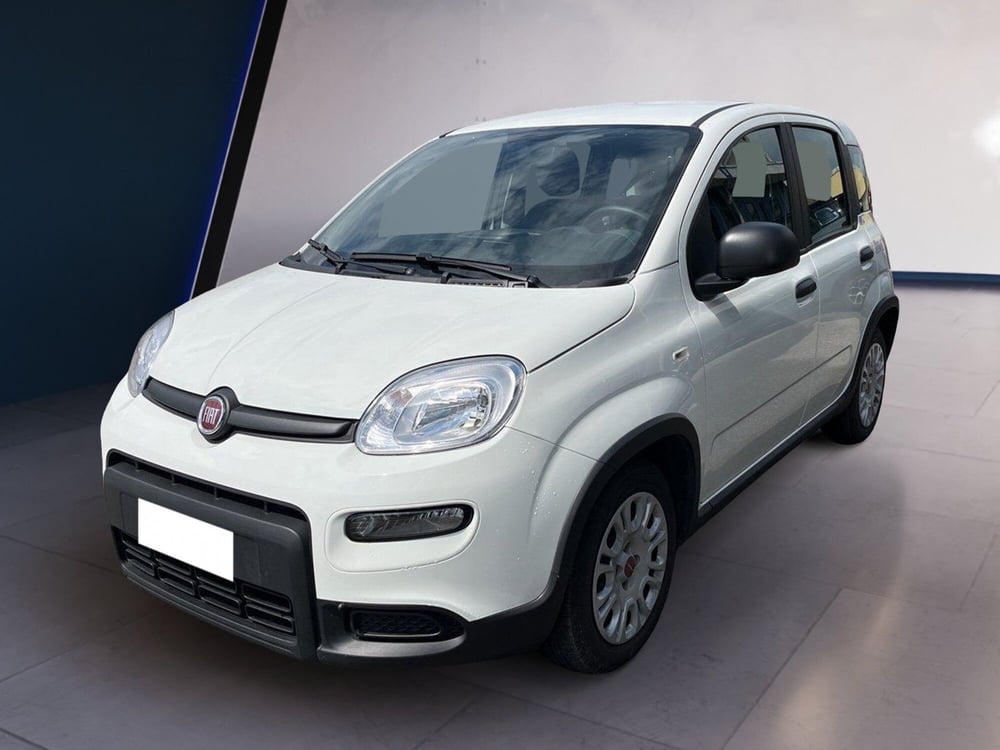Fiat Panda usata a Torino (2)