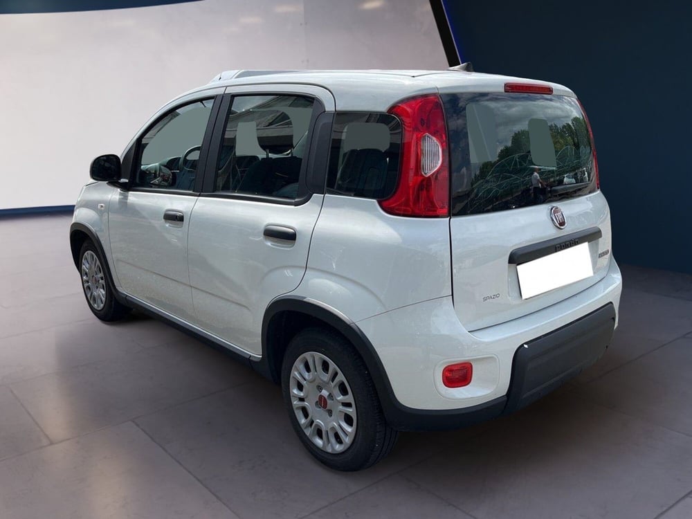 Fiat Panda usata a Torino (5)