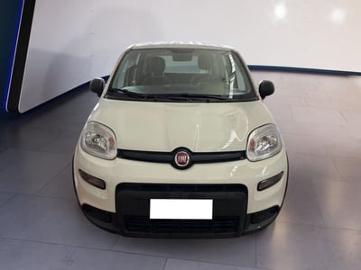 Fiat Panda 1.0 firefly hybrid s&amp;s 70cv 5p.ti del 2024 usata a Torino