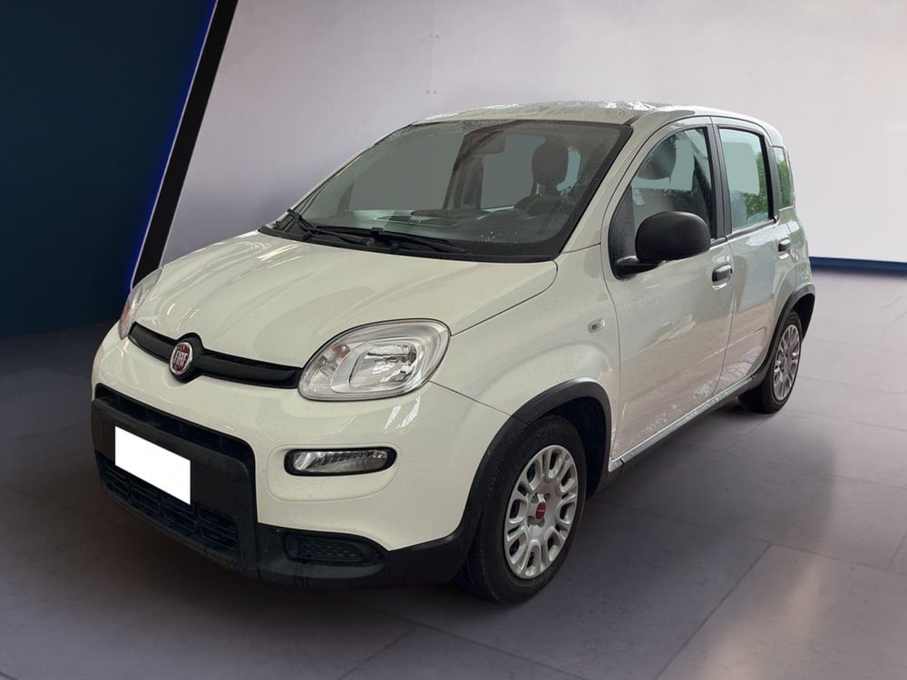 Fiat Panda usata a Torino (2)