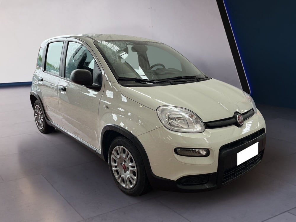 Fiat Panda usata a Torino (3)