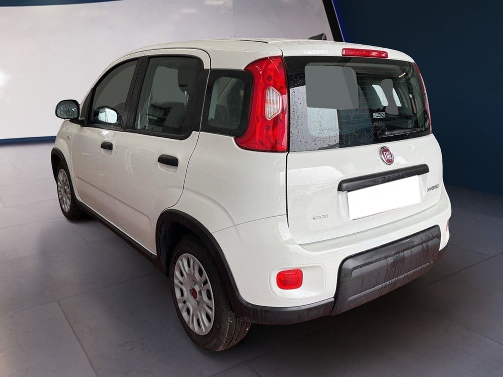 Fiat Panda usata a Torino (5)
