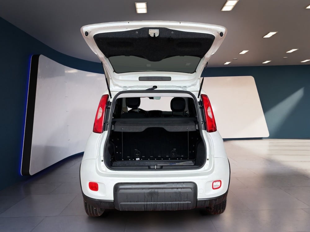 Fiat Panda usata a Torino (7)