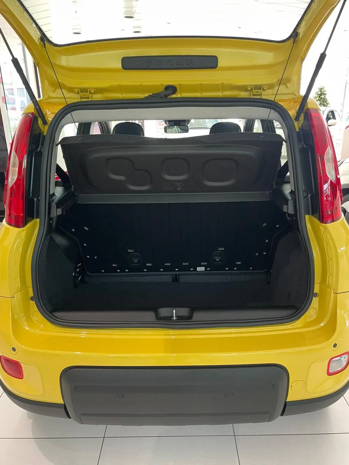 Fiat Panda Cross nuova a Reggio Emilia (20)