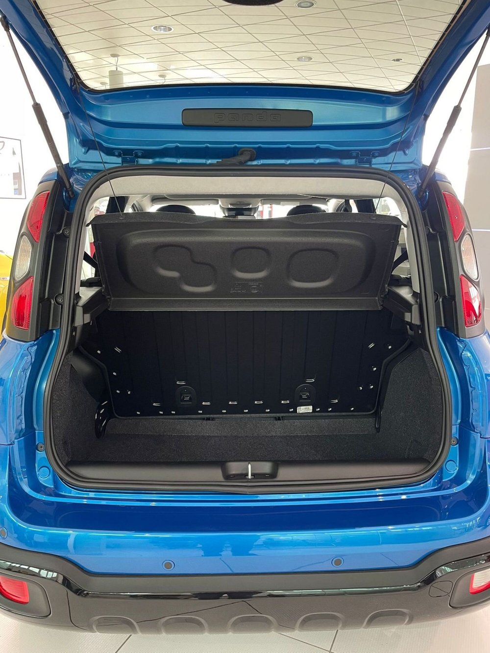 Fiat Panda Cross nuova a Reggio Emilia (20)