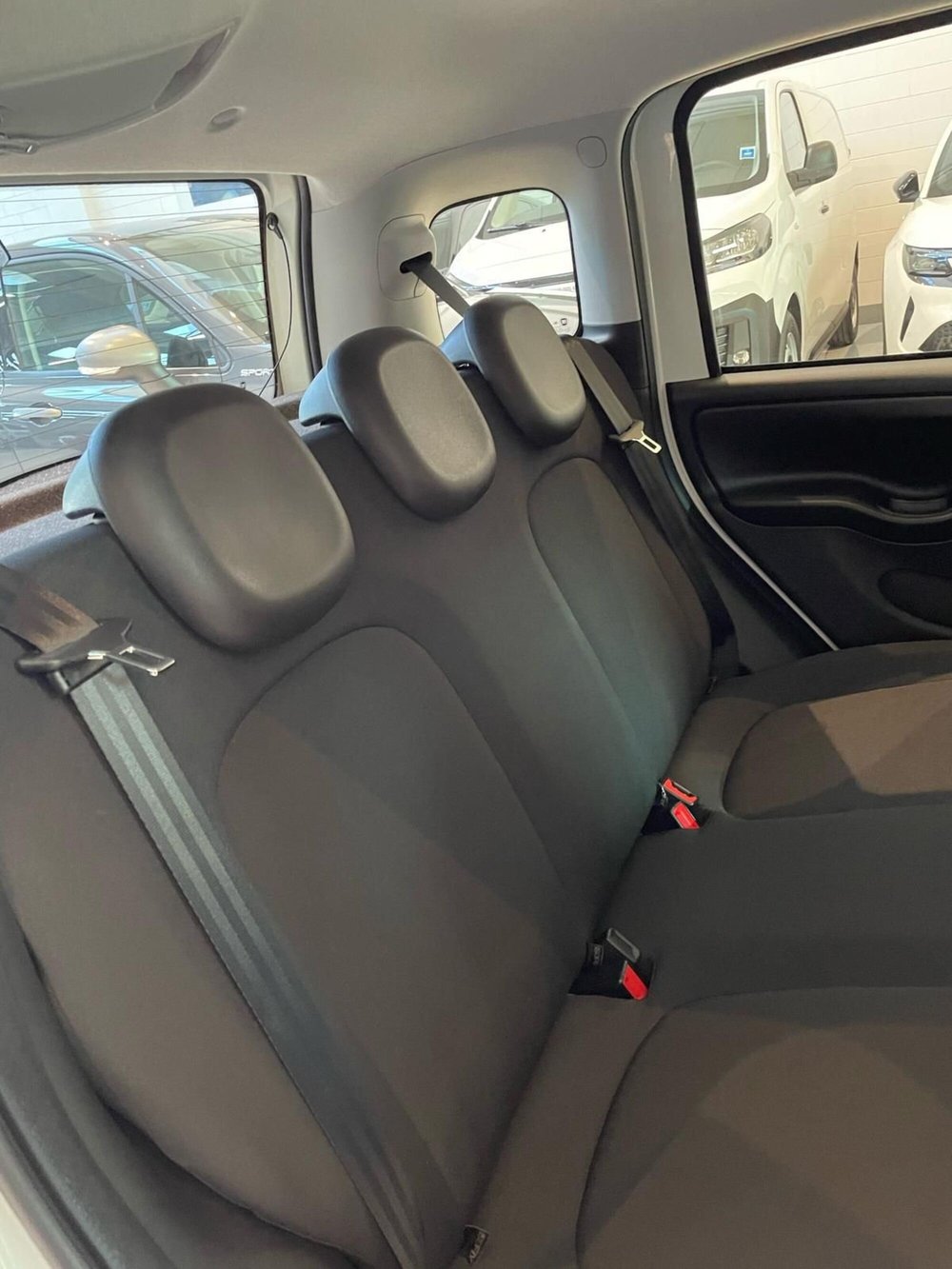 Fiat Panda Cross nuova a Reggio Emilia (19)