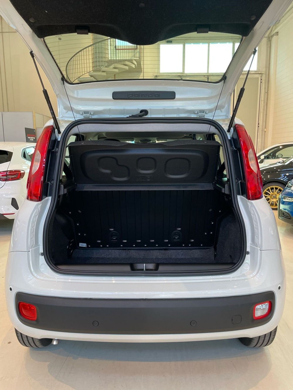 Fiat Panda Cross nuova a Reggio Emilia (20)