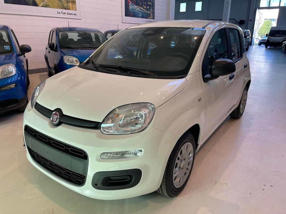 Fiat Panda Cross nuova a Reggio Emilia (3)