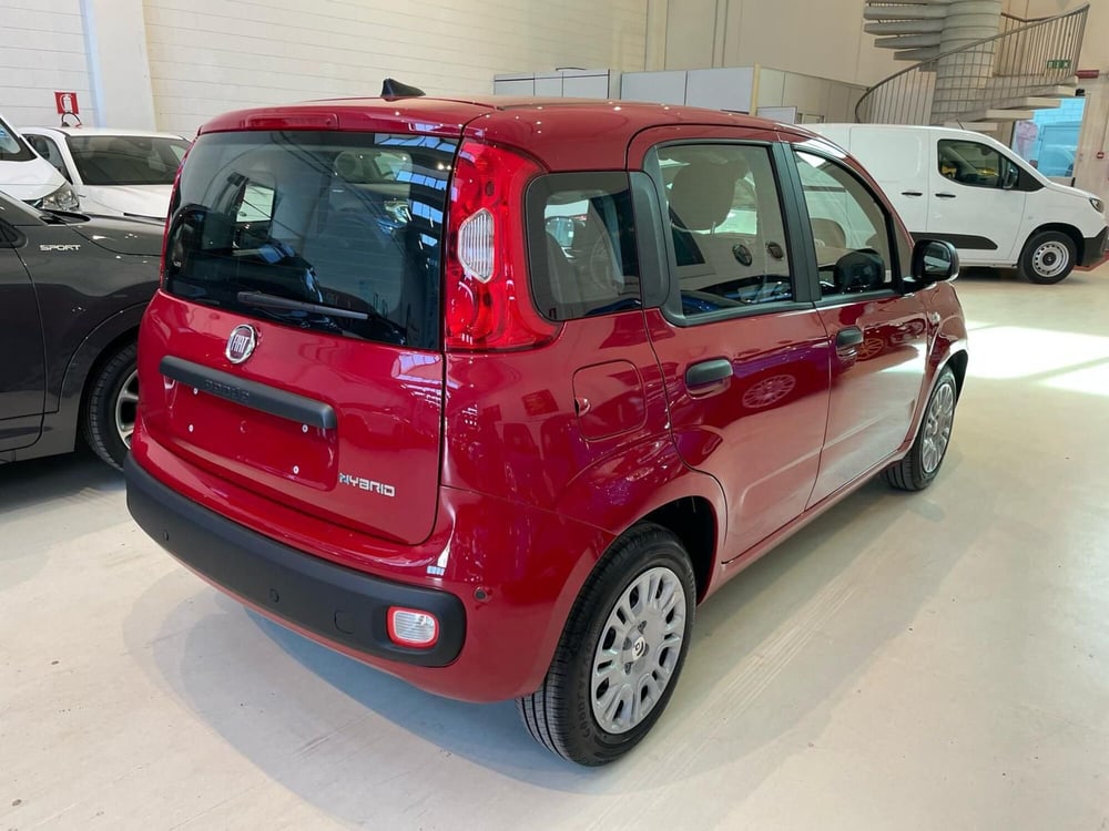 Fiat Panda Cross nuova a Reggio Emilia (2)