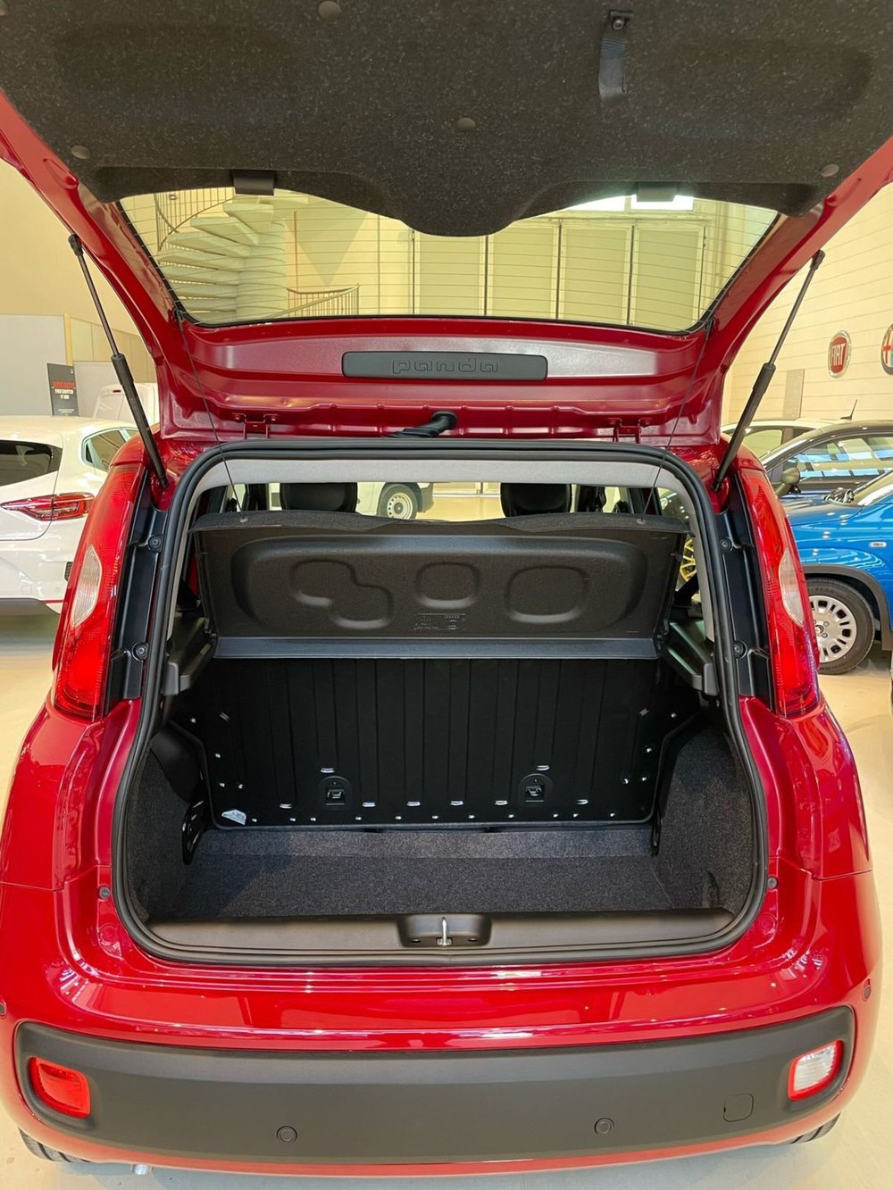 Fiat Panda Cross nuova a Reggio Emilia (20)