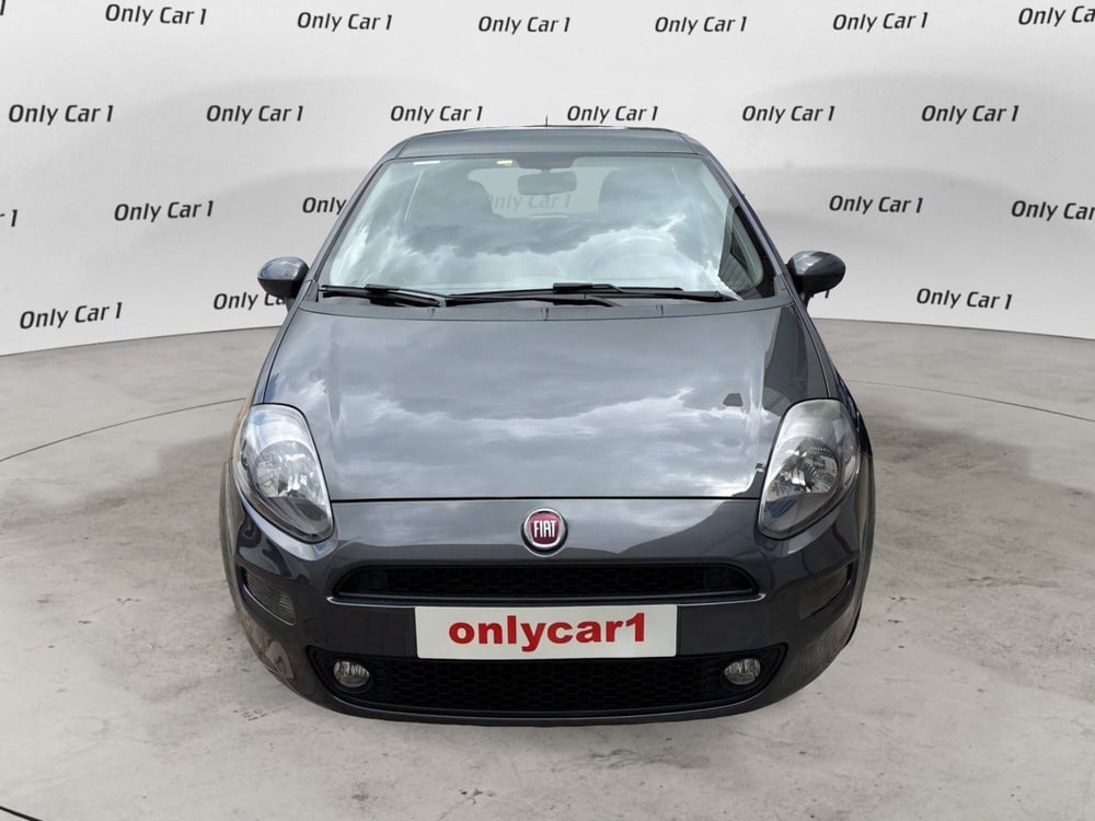 Fiat Punto usata a Ferrara (2)