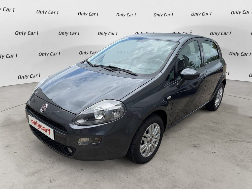 Fiat Punto usata a Ferrara (3)