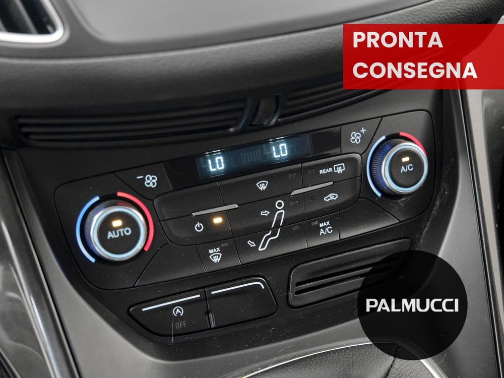 Ford C-Max usata a Prato (10)