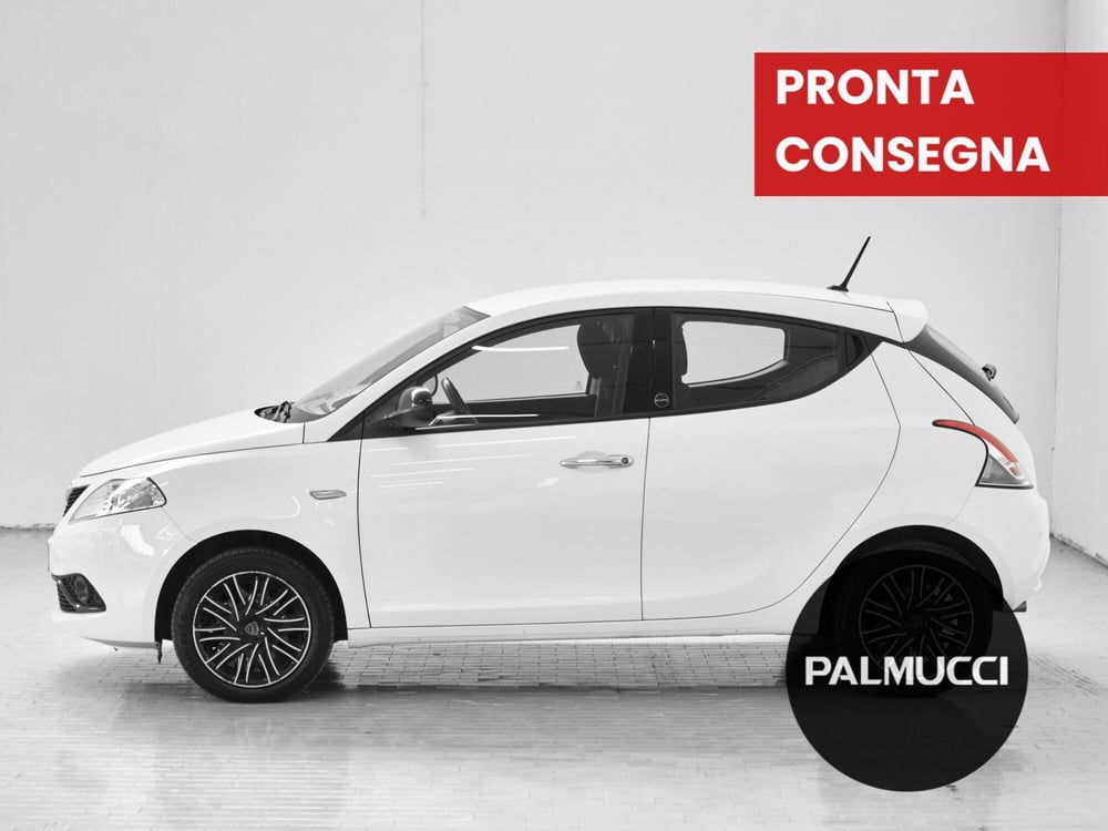 Lancia Ypsilon usata a Prato (5)