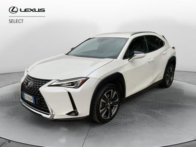 Lexus UX Hybrid 4WD Premium del 2021 usata a Montevarchi
