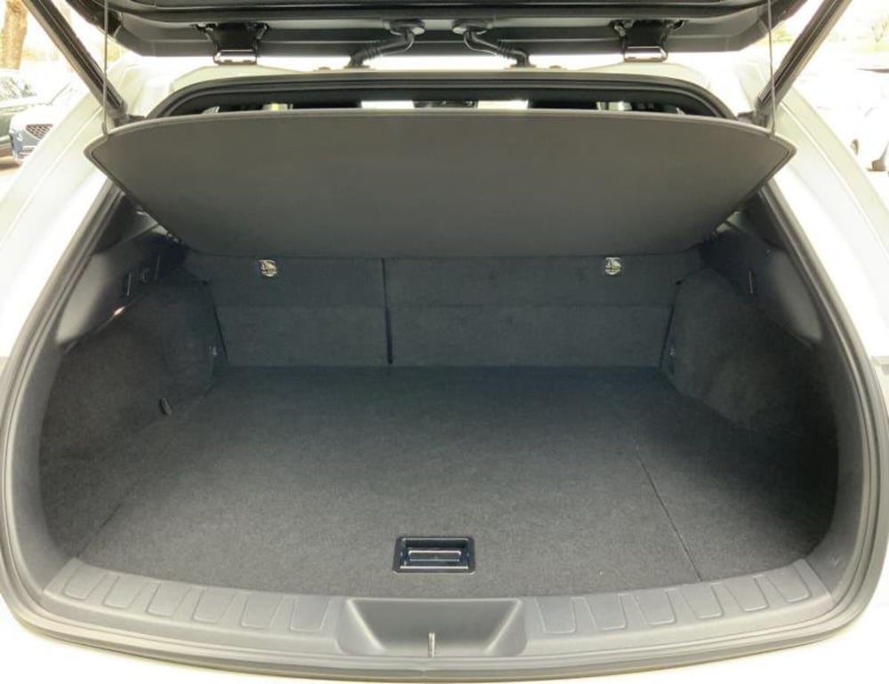 Lexus UX usata a Arezzo (11)
