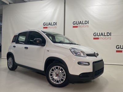 Fiat Panda 1.2 EasyPower Easy nuova a Mirandola