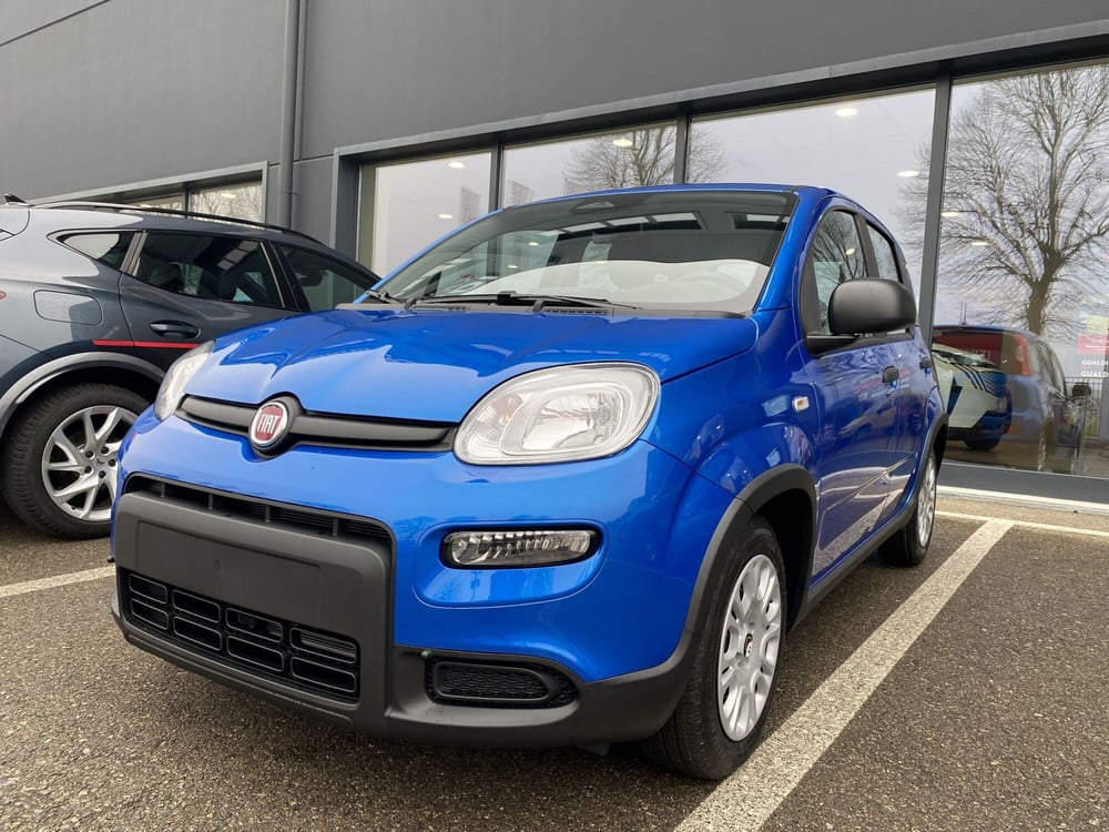 Fiat Panda Cross nuova a Modena (6)
