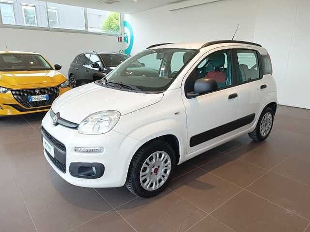 Fiat Panda usata a Forlì-Cesena