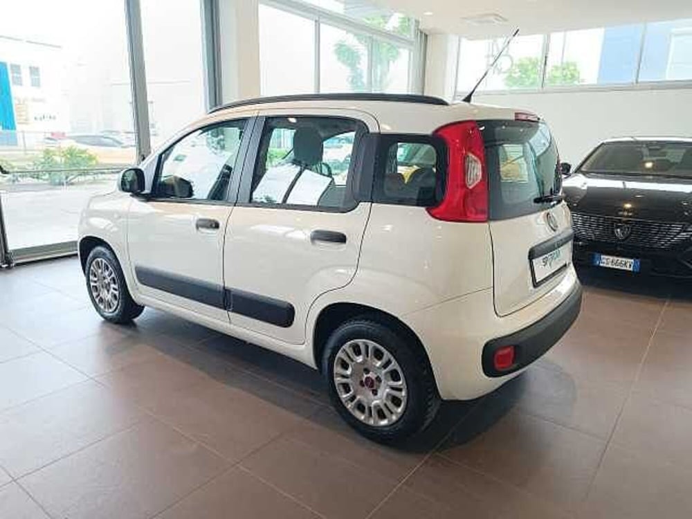 Fiat Panda usata a Forlì-Cesena (2)
