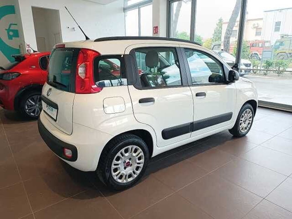 Fiat Panda usata a Forlì-Cesena (3)