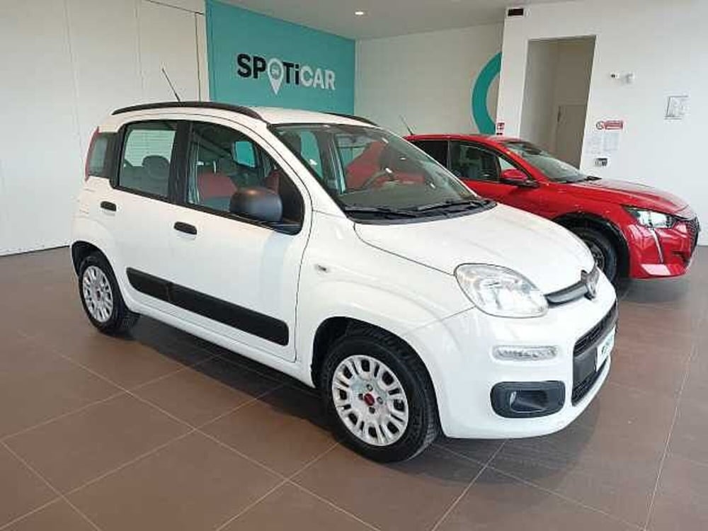 Fiat Panda usata a Forlì-Cesena (4)