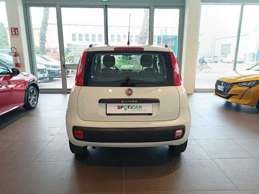 Fiat Panda usata a Forlì-Cesena (5)