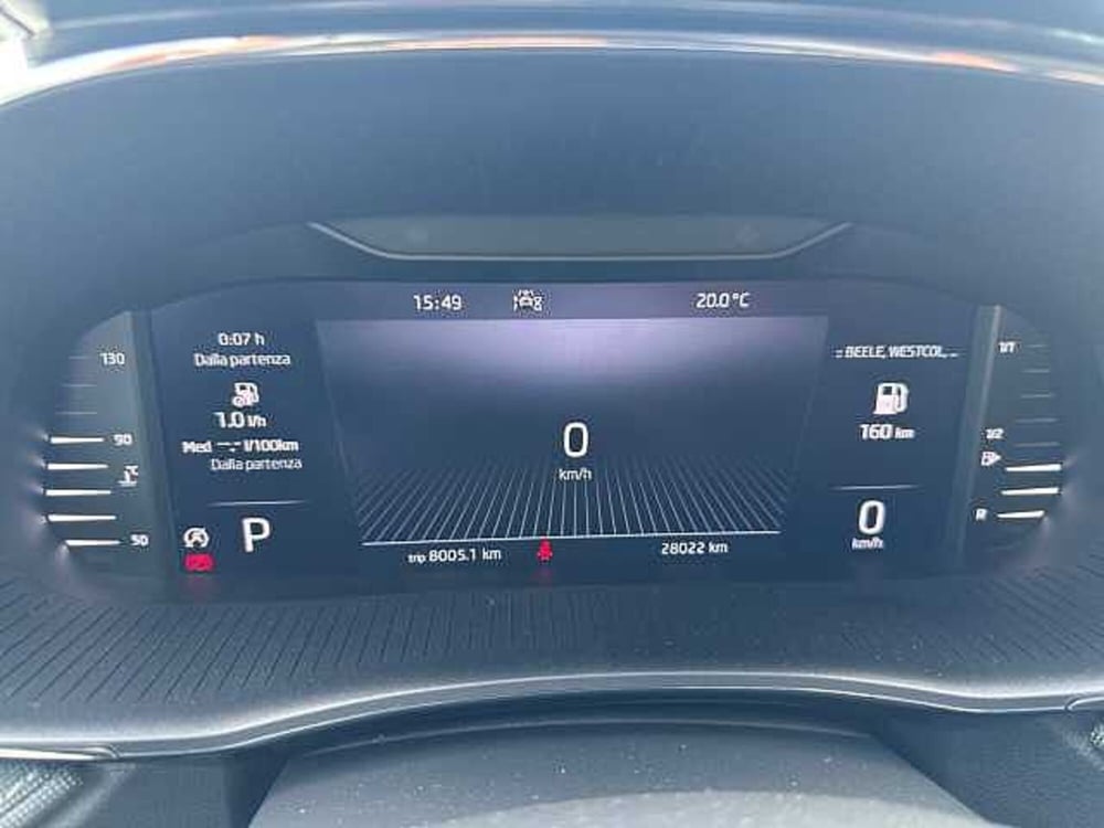 Skoda Fabia usata a Verona (13)