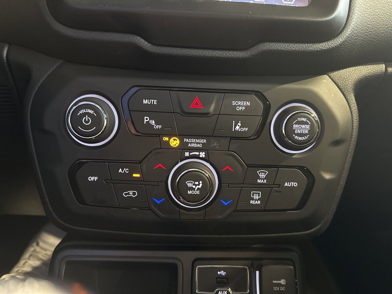 Jeep Renegade usata a Vicenza (20)