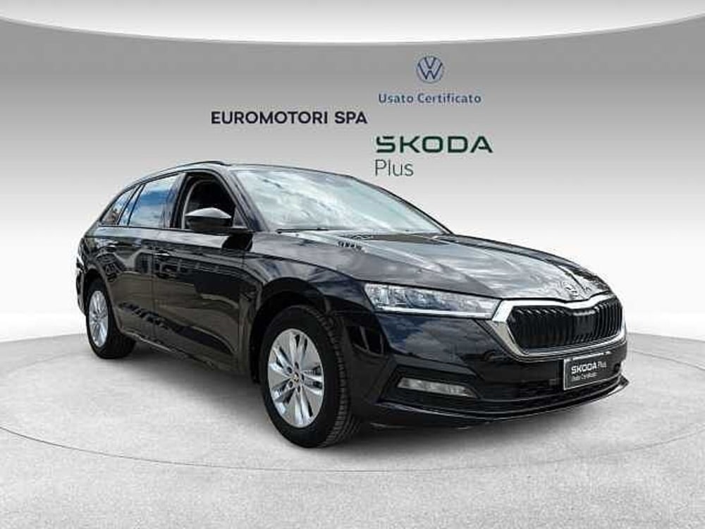 Skoda Octavia Station Wagon usata a Siena (6)