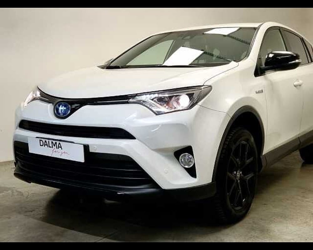 Toyota Rav4 usata a Milano (15)