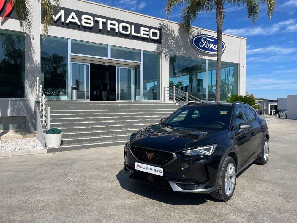 Cupra Formentor usata a Lecce (3)
